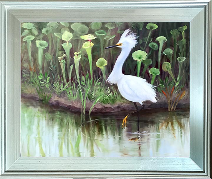 Click here to view Snowy Egret Strut  by Rebecca McDannold