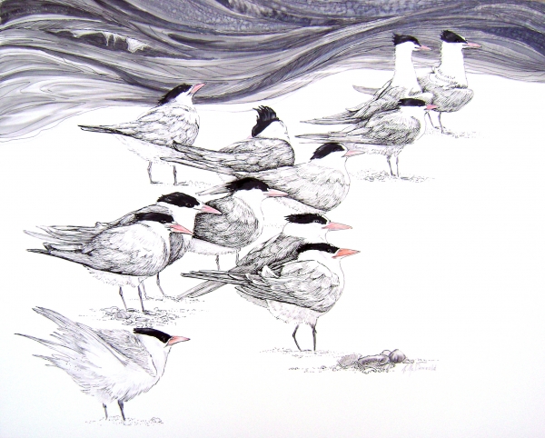Click here to view Resting Royals by Rebecca McDannold
