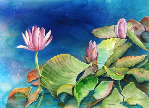 Click here to view Water Lilies #6 Pink Blooms by Rebecca McDannold