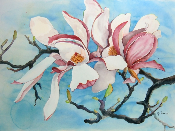 Magnolias by Rebecca McDannold