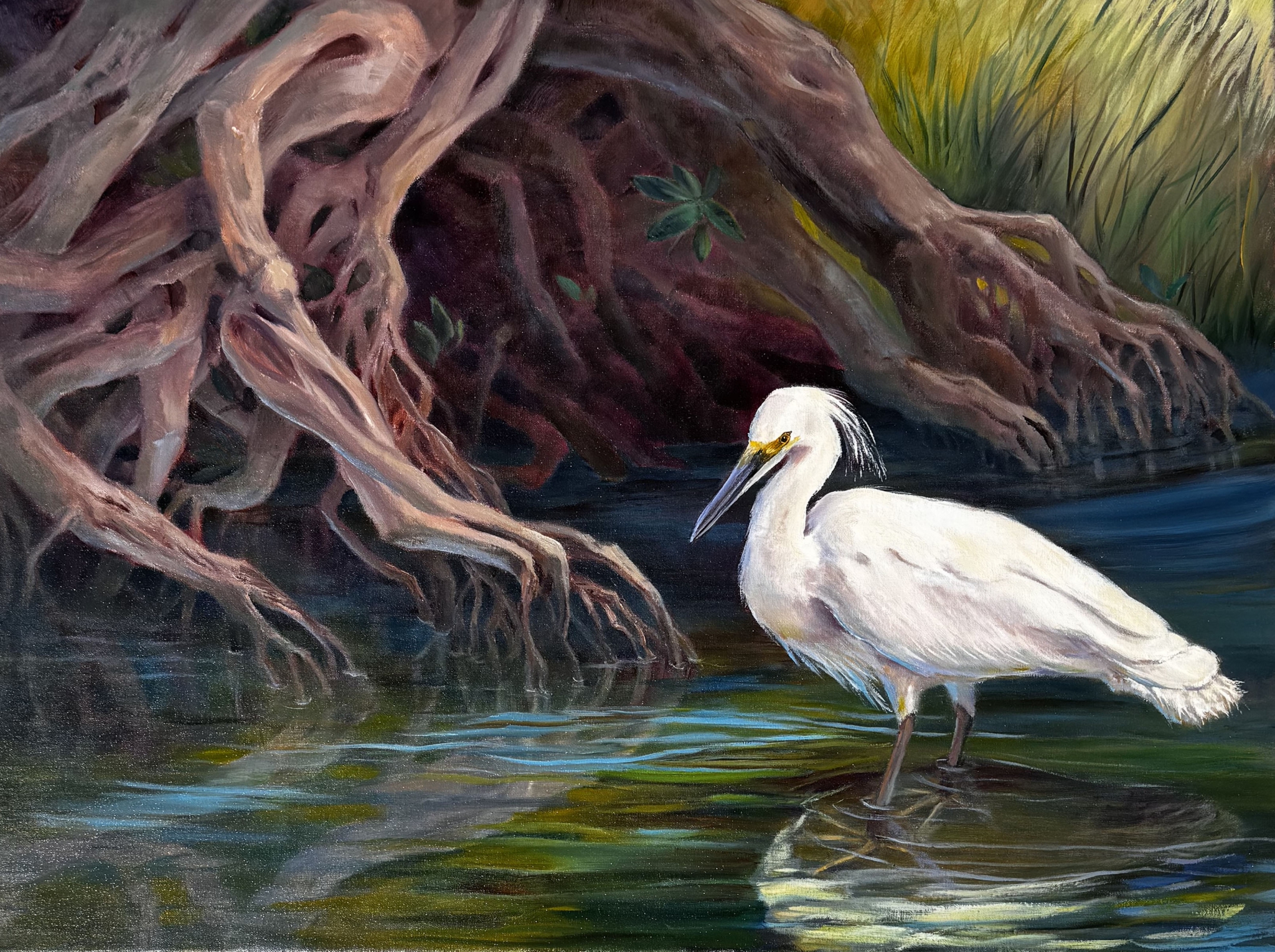 River Roots by Rebecca McDannold