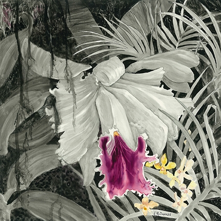 Click here to view Orchid by Rebecca McDannold